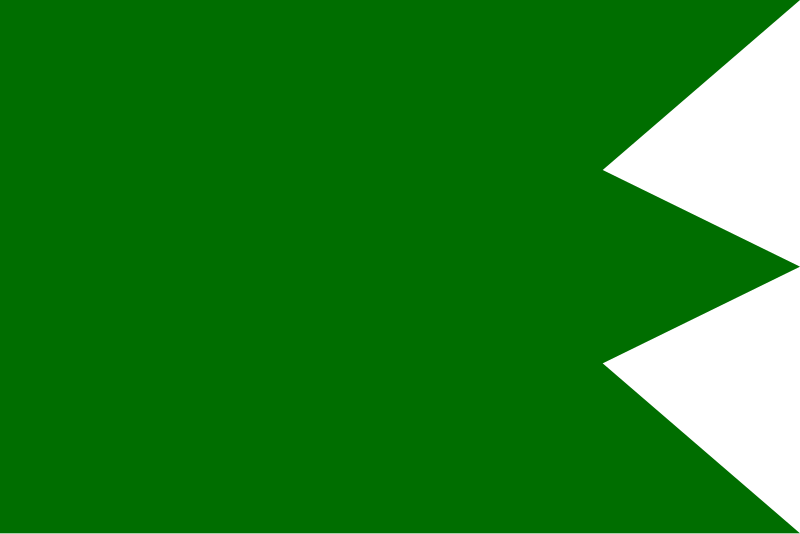 Bestand:Fatimid Flag.svg