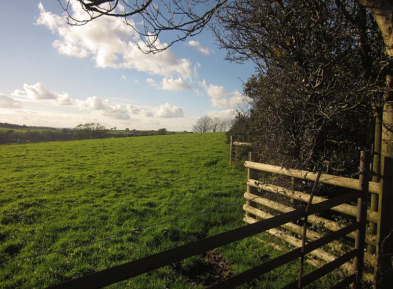 File:Field, Tilland Road Farm - geograph.org.uk - 3734478.jpg