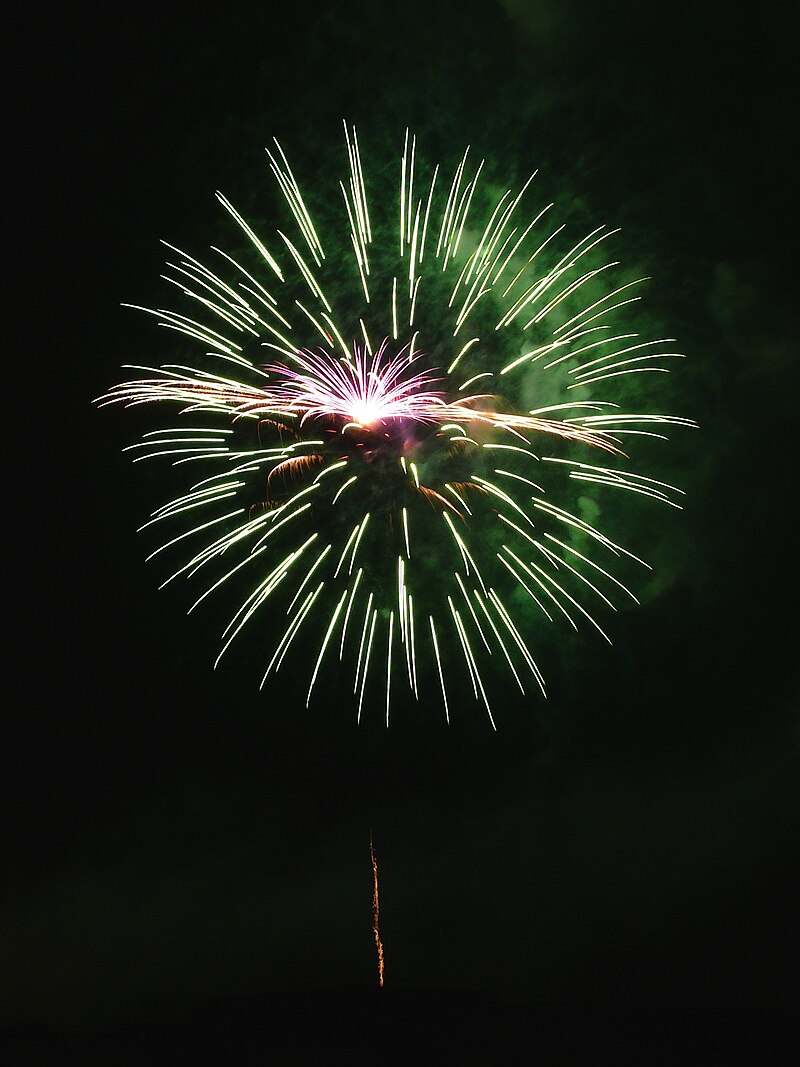 https://upload.wikimedia.org/wikipedia/commons/thumb/b/be/Fireworks-27527-1.jpg/800px-Fireworks-27527-1.jpg