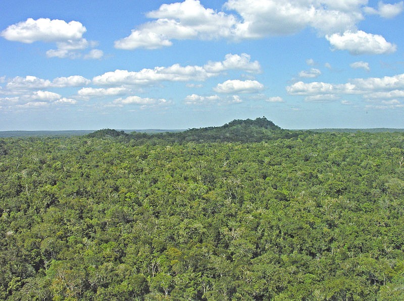 medio ambiente