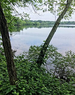 Fresh Pond, Cambridge, Massachusetts, USA, v mlhavý den.jpg