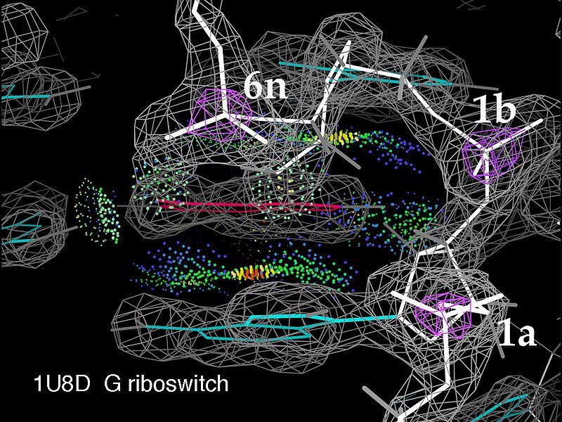 File:G riboswitch site w map contacts suite-labels.jpg