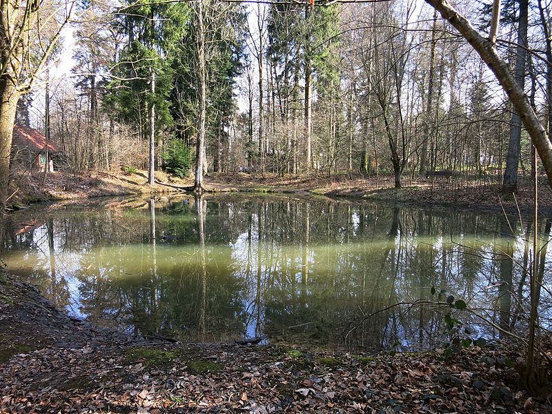 File:Gamisweiher.JPG