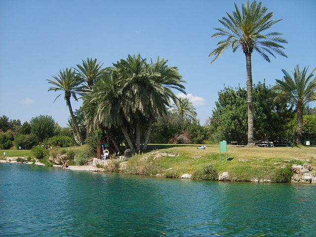 Natural warm water pool at Gan HaShlosha