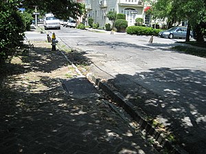 GardenDistrictGutterSidewalkCurbpoles.jpg