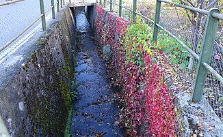 Hölibach near Gibstorf