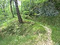 Monte Tavagnone, resti di un'aia di una carbonaia sul sentiero del Droanello