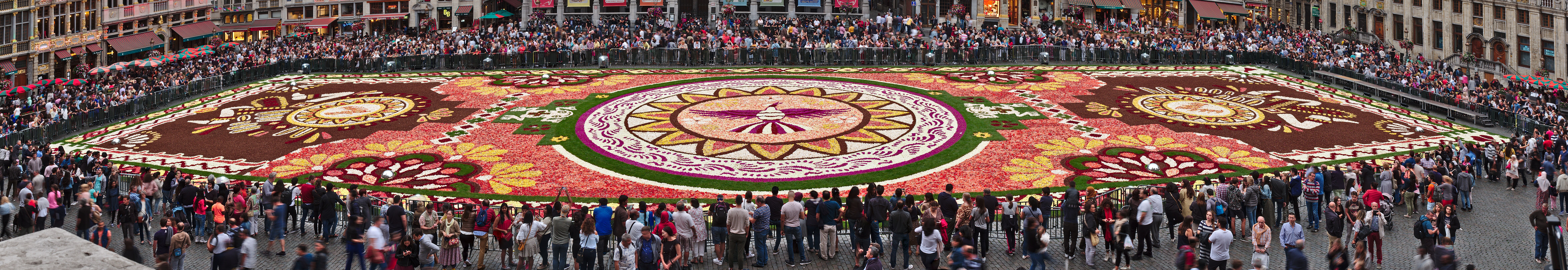 en:Flower Carpet