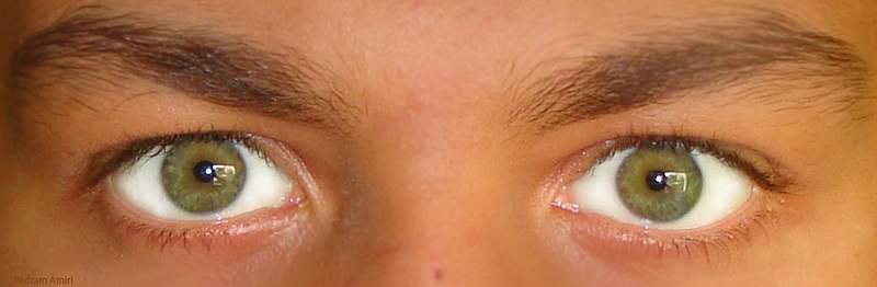 File:GreenEyes.jpg