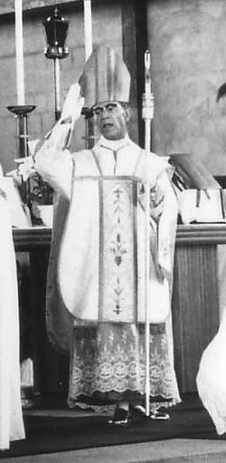 Kardinal Guido Del Mestri