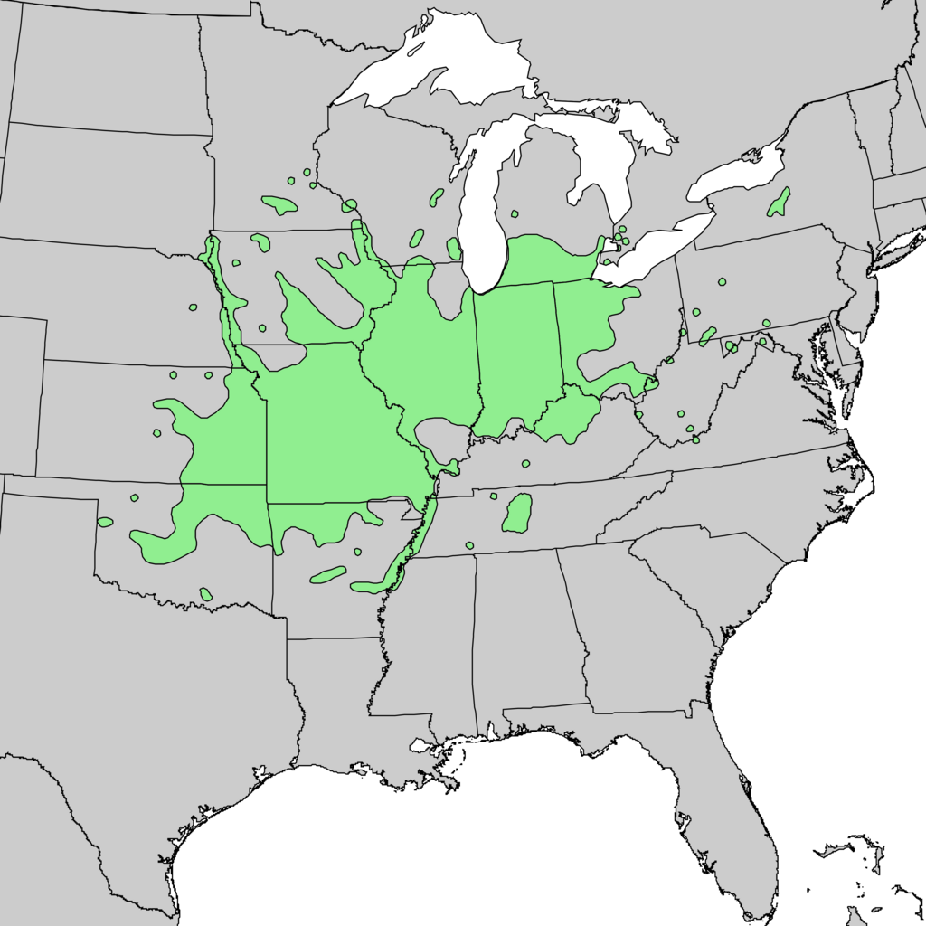 1024px-Gymnocladus_dioicus_range_map_4.png