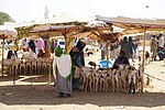 Thumbnail for Agriculture in Somaliland