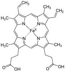 In all vertebrates, the heme group of hemoglobin binds most of the oxygen dissolved in the blood. Heme b.svg