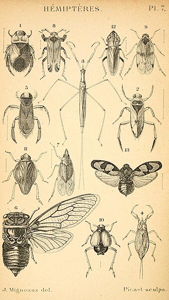 File:Histoire naturelle de la France (14613334642).jpg