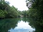 Homosassa Springs State Park river01.jpg