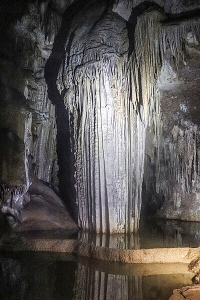 File:Hoq Cave - speleothem2.jpg