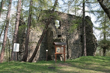 Ruines du château de Kašovice.