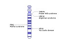 Human chromosome 15 from NCBI Bookshelf.jpg