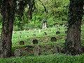 Hungarian WWII graves