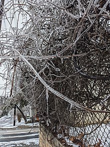 Winter storm - Wikipedia