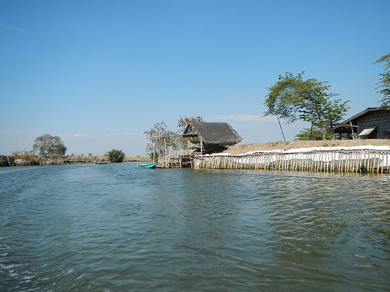 File:Jf9987Atlag River Masile Mangroves Malolosfvf 12.JPG