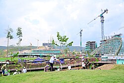 Trees being planted on the construction site Joko Widodo planting tree in Sumbu Kebangsaan, December 2023.jpg