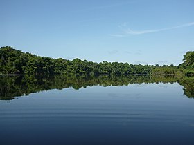 Jutaí - State of Amazonas, Brazil - panoramio (14).jpg