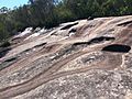 * Nomination: Exposed bedrock and dried water flows on the Karloo Track, Royal National Park. --PhilipTerryGraham 22:04, 18 March 2017 (UTC) Per the other reviews it needs work. I'd start by doing something about that purple fringing Daniel Case 03:24, 20 March 2017 (UTC) * * Review needed
