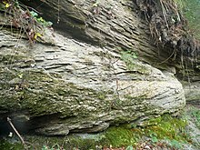 Hassberge-Formation (Unterer Kieselsandstein), Schrägschichtung, unmittelbar über den Mergeln der Lehrbergschichten, Sauerbachklinge bei Bühlertann-Fronrot