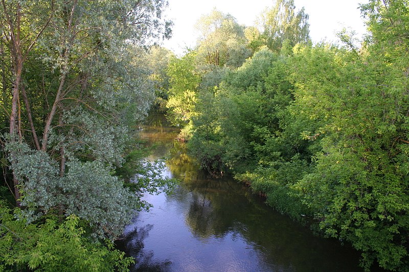 File:Kondrovo - Shanya river.jpg