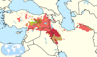 ﻿Kurmandschi (Nordkurdisch)
﻿Sorani (Zentralkurdisch)
﻿Südkurdische Sprache (Südkurdisch)
﻿Zaza-Sprache
﻿Gorani
﻿gemischt