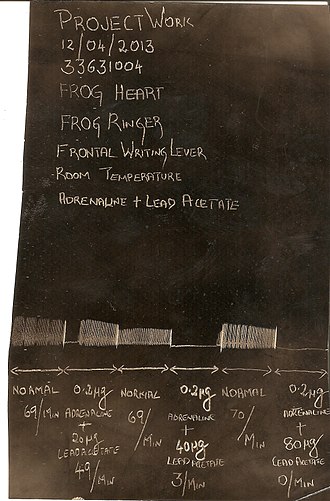 Kymographic recording of the effect of lead acetate on frog heart experimental set up. Kymographic recording of the effect of lead on frog heart..jpg