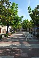 Rambla Gener (l'Arboç)