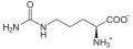 Deutsch: Struktur von L-Citrullin English: Structure of L-citrulline