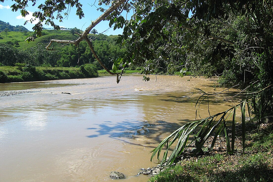 Río La Vieja