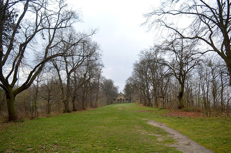 File:Landschaftsschutzgebiet Kapellenberg Ottbergen - Blick zur Kapelle (2).JPG