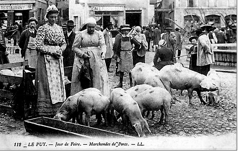 File:Le Puy Les cochons un jour de foire.JPG