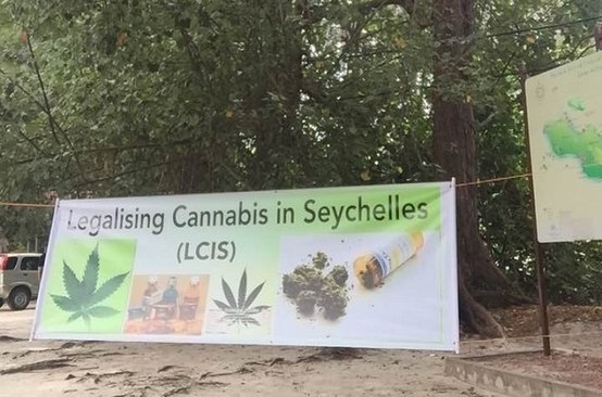 The LCIS movement pushed for the medicinal legalization of cannabis first as they believed this pursuit had more immediate potential.
