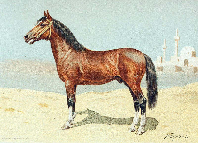 File:Les races chevalines - avec une étude spéciale sur les chevaux russes (1894) (14796277883).jpg