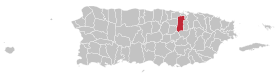 Locator-map-Puerto-Rico-Bayamón.svg