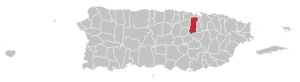 Locator-map-Puerto-Rico-Bayamón.svg