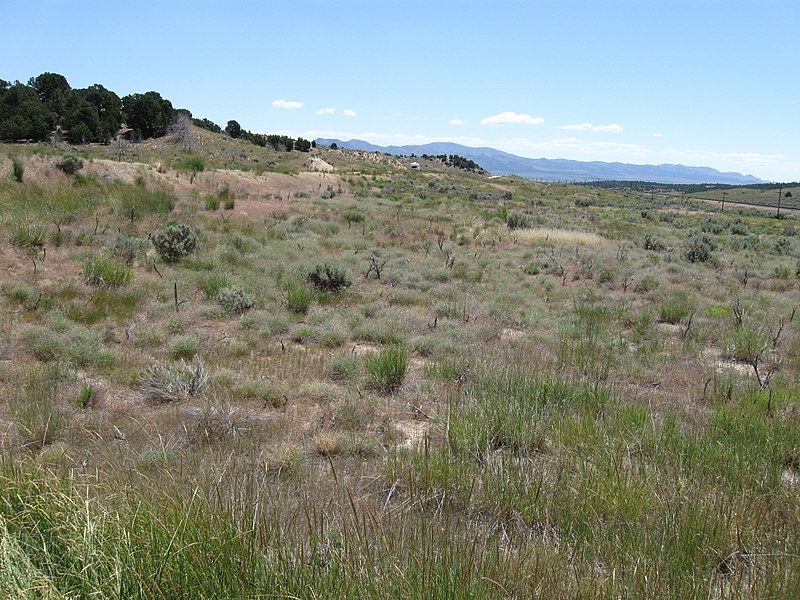 File:Looking East Southeastward from side of Dirt Road - panoramio.jpg