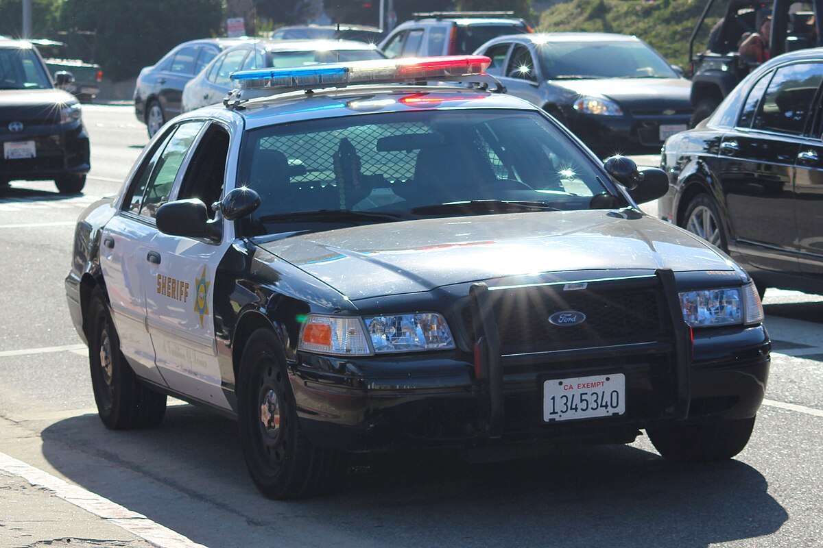 Sacramento Sheriff cars