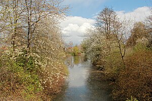 Lutter fließt in den Stauteich III