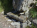 Dans le vallon de Laverq, commune de Méolans-Revel (Alpes-de-Haute-Provence), sur le bord du chemin.