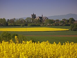 Sint-Martinus en Sint-Severuskerk