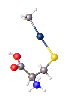 Structure of the complex of methylmercury and cysteine. Color code: dark blue = Hg, yellow = S. MCYSHG10sm.svg