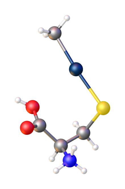 Structure of the complex of "methylmercury" and cysteine.[4]  Color code: dark blue = Hg, yellow = S.