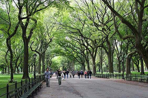 Main Allee in Central Park.NYC.
