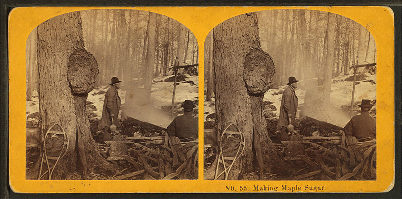 File:Making maple sugar, by Kilburn Brothers 4.jpg